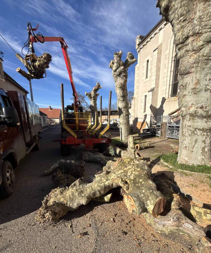 Abattage arbre Montluçon