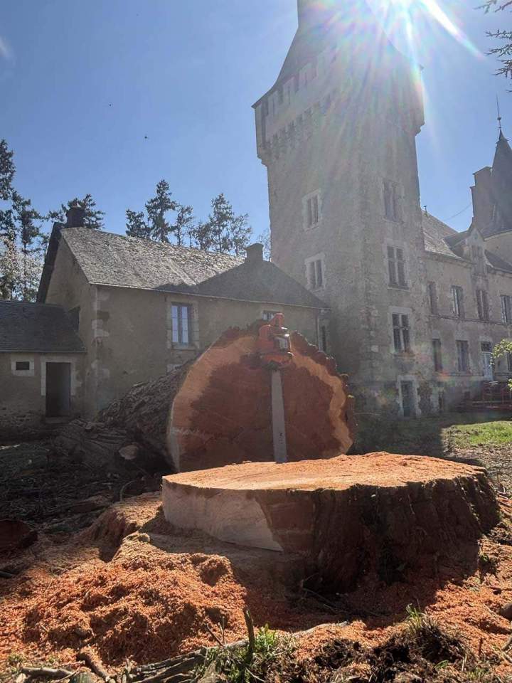 Dessouchage Montluçon
