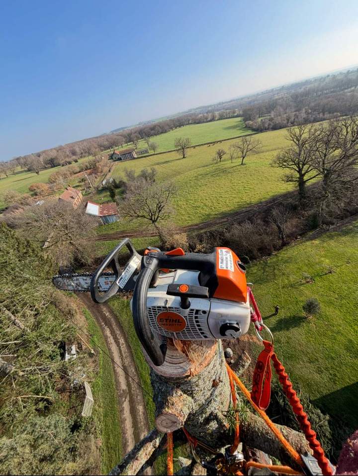 Démontage d'arbre Montluçon