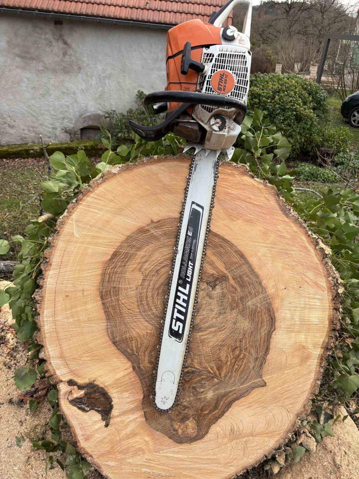 Extraction des souches d'arbres et remise en état du terrain