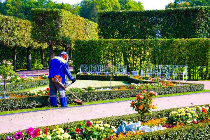 Entretien jardin Montmarault
