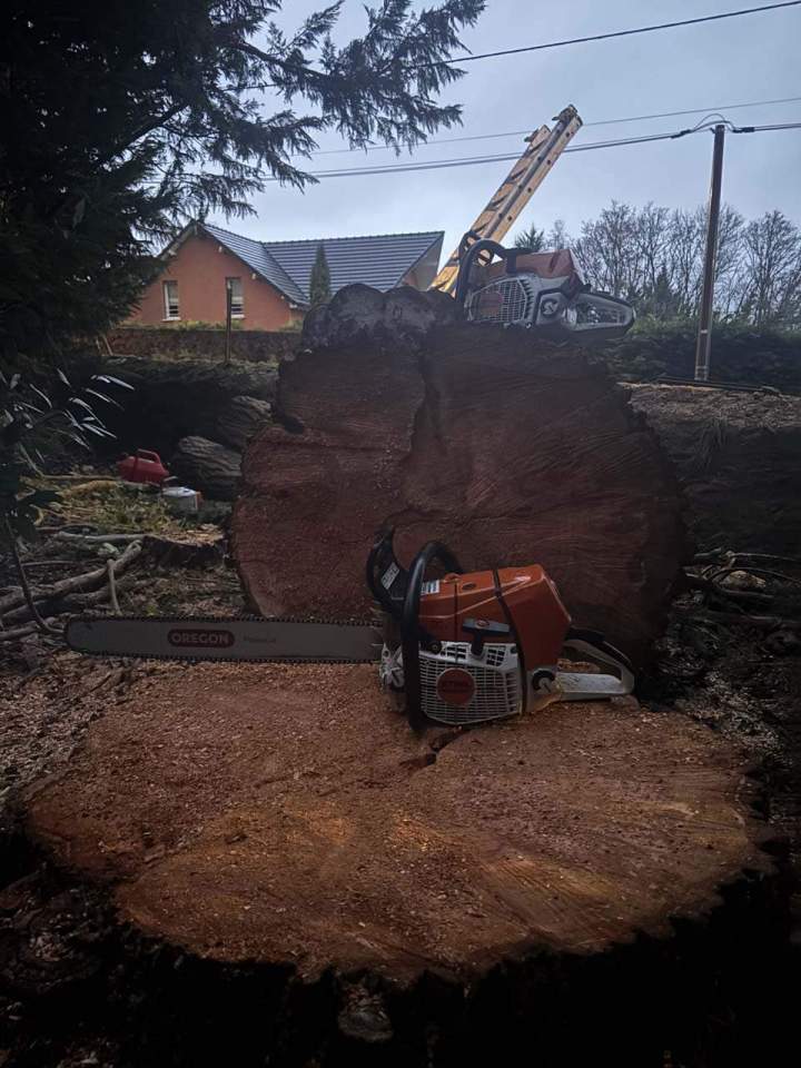 Travaux paysagers Montluçon (8)